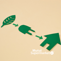 Mutui Green: la rivoluzione di Intesa Sanpaolo