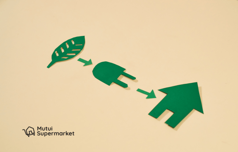 mutui green nuove regole di intesa sanpaolo